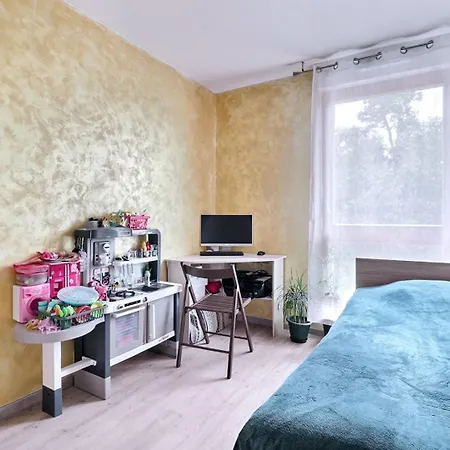 3br Meinau Area 公寓 *